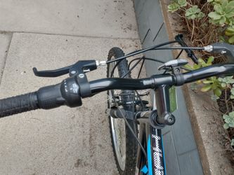 Roadmaster 26" Mountain Bike