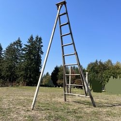 Vintage or antique wooden orchard ladder