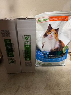Rayne clinical nutrition cat food