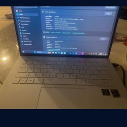 Lg gram laptop i5-1135G7 8GB RAM 1TB SSD and 256 SSD.