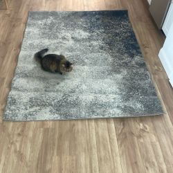 Rug 