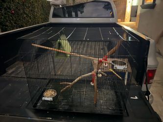 Large Black Metal Bird Cage