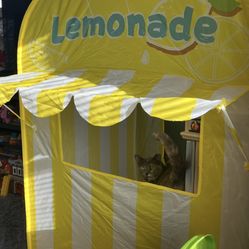 Kids Foldable Lemonade Tent 