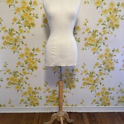 Dress Form Female Body Female Mannequin 