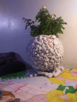 Pot