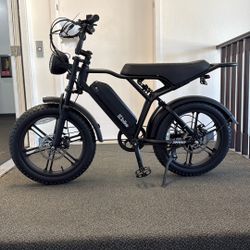 TST Moped Style E-Bike 40 MPH (OPEN BOX)