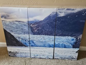 3 Piece Canvas Wall Art Framed