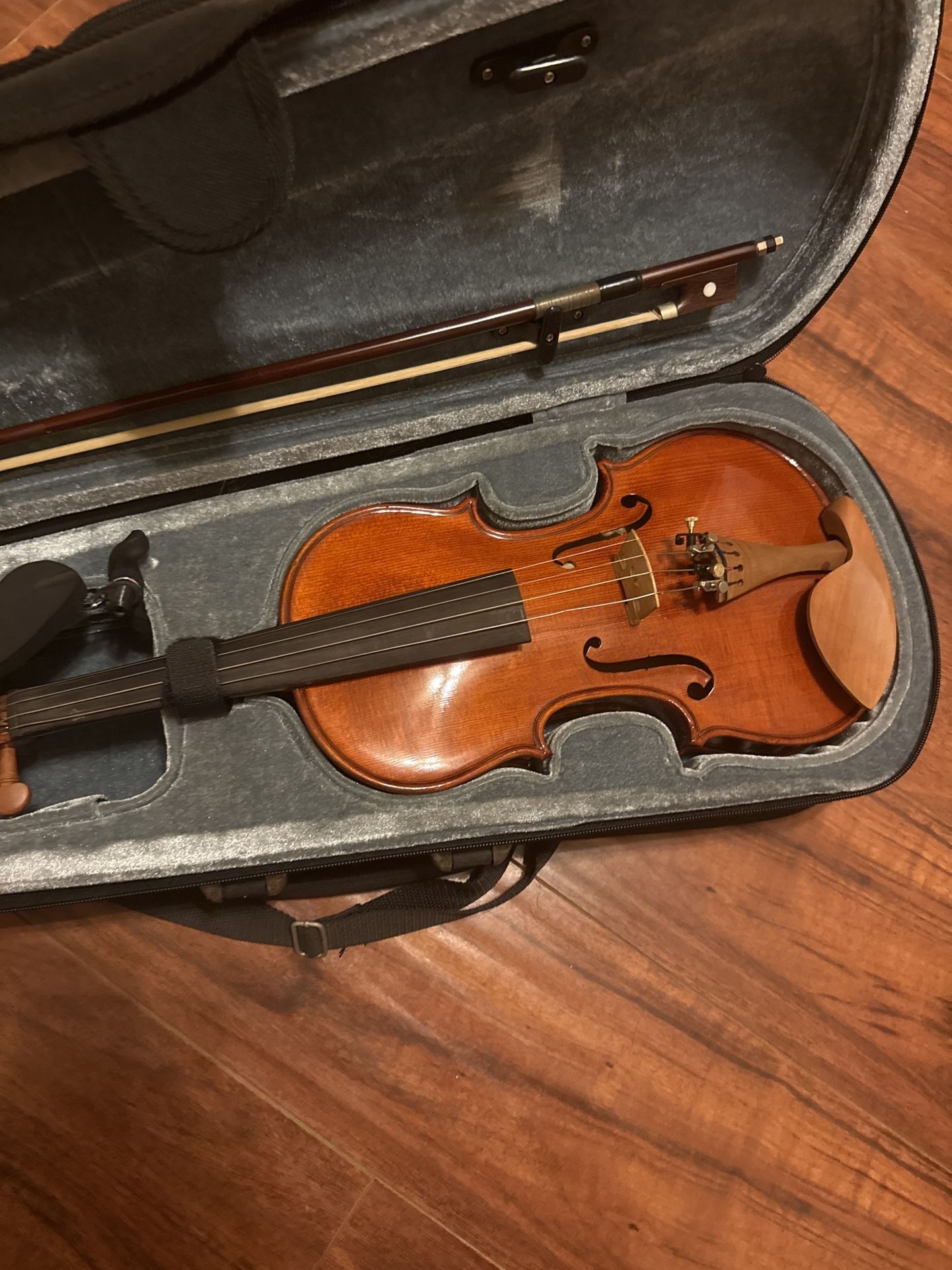 violin