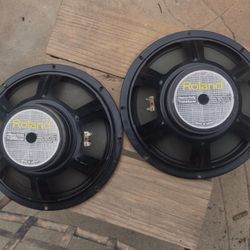Pair of ROLAND  Heavy-Duty Transducer Vintage 12” Guitar Speakers $40.00 ea.