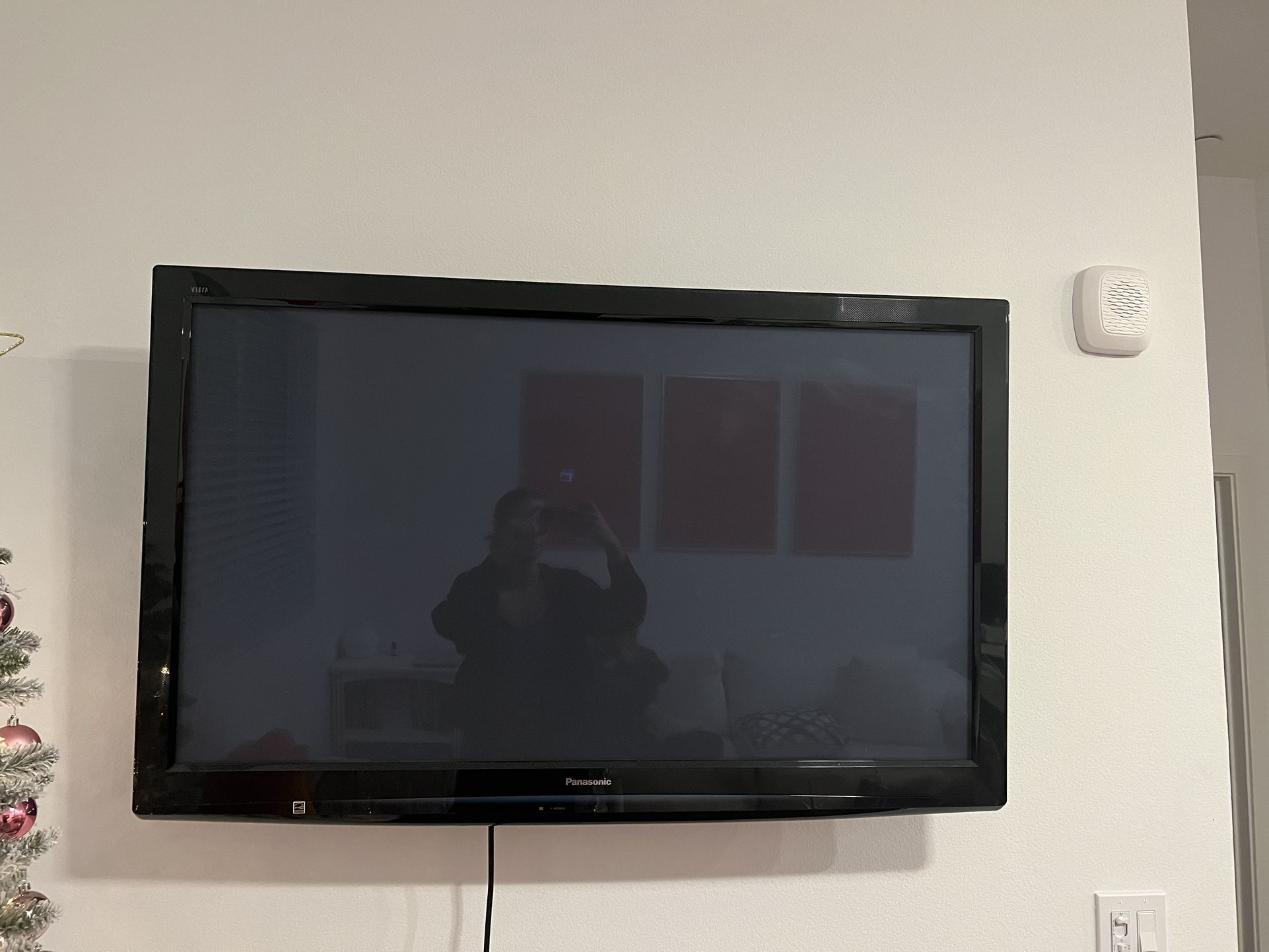 52' Panasonic Flat Screen Tv