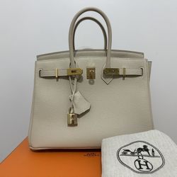 HERMÈS PARIS BIRKIN 25 CRAIE TOGO LEATHER GOLD HARDWARE