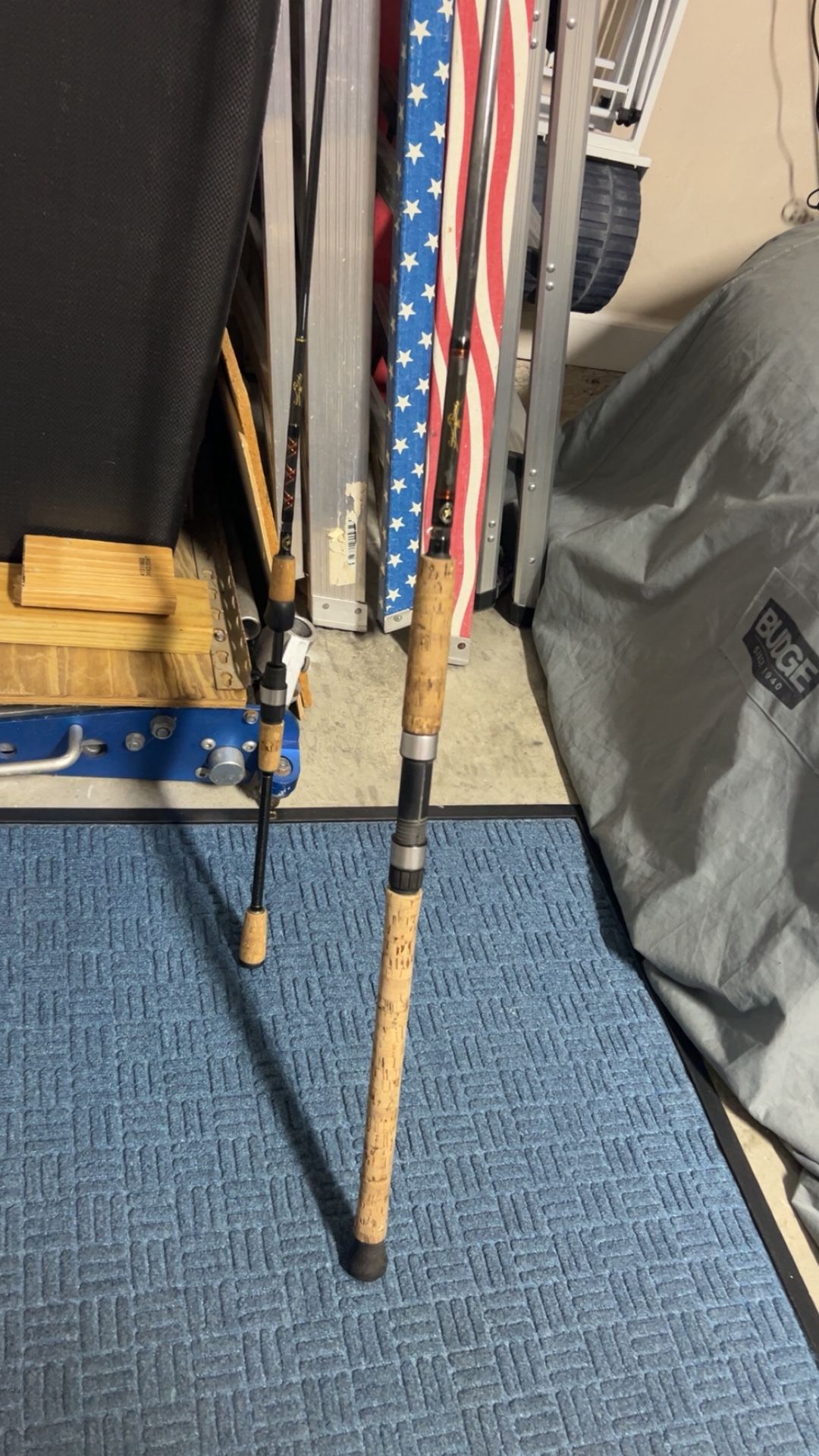 One Star Rod Stellar Light And One Star Rod Seagis