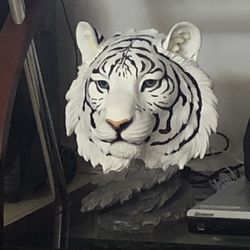 Cabeza De Tigre Blanco