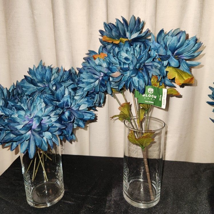 Saphire / Blue Mums