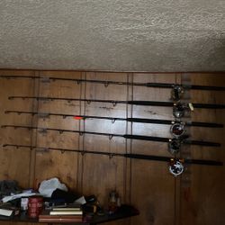 Fishing Rods