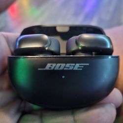 Bose Earbugs