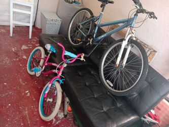 Woman's bike and young girls bike