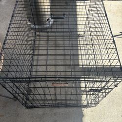 Dog Cage