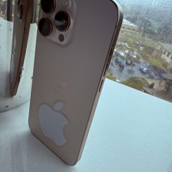 iPhone 16 Pro Max 256GB Unlocked – Perfect Condition – Like New – $900 OBO 