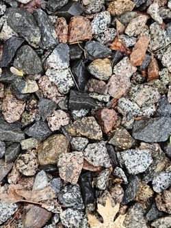Mixed Landscape Rock
