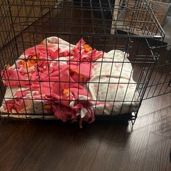 Dog Cage No Longer Need Since Dog Got Bigger