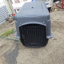Prices firm medium sized dog crate