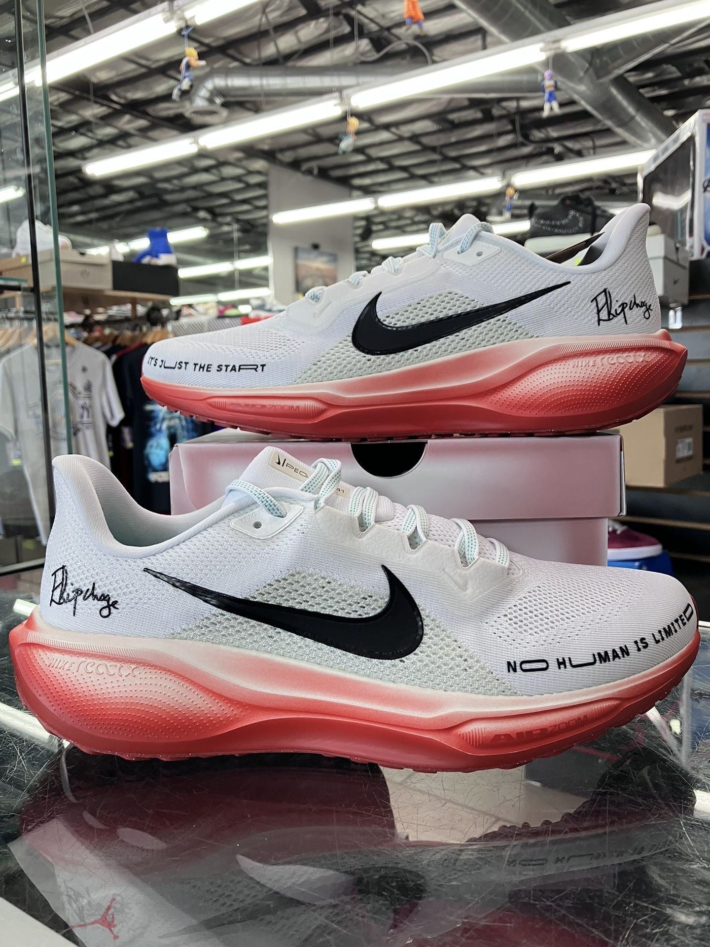 Nike Air Zoom Pegasus 41 Eilud Kipchoge