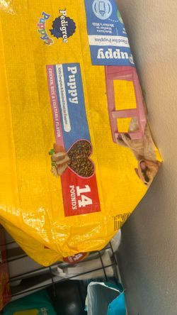 Puppy Food