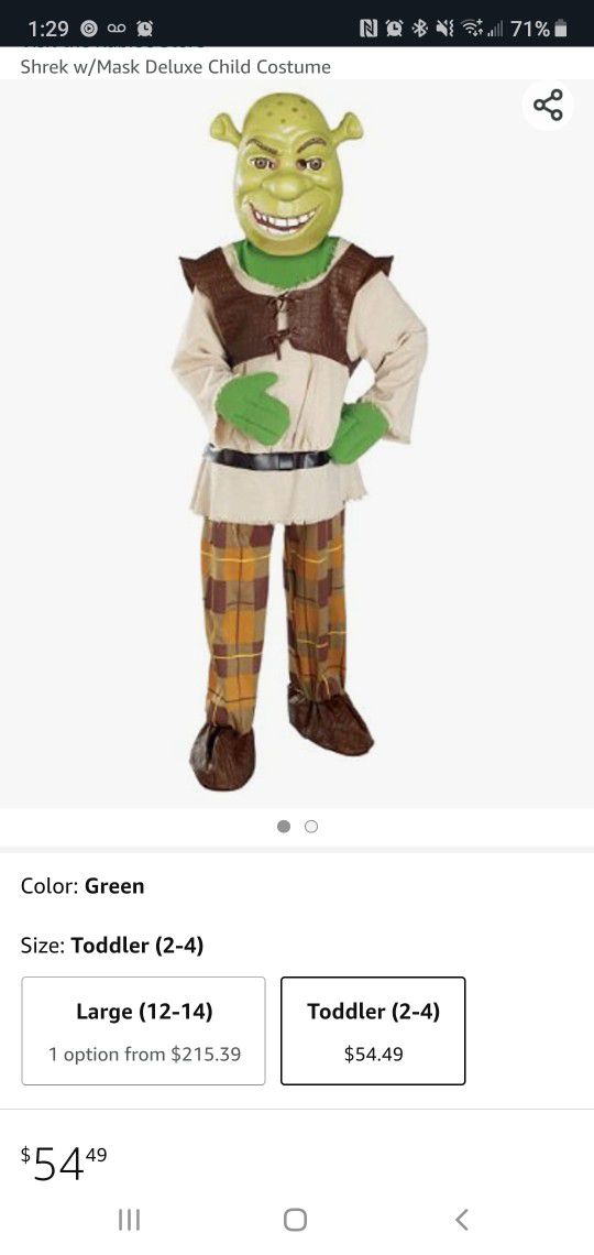 Shrek Costume 
