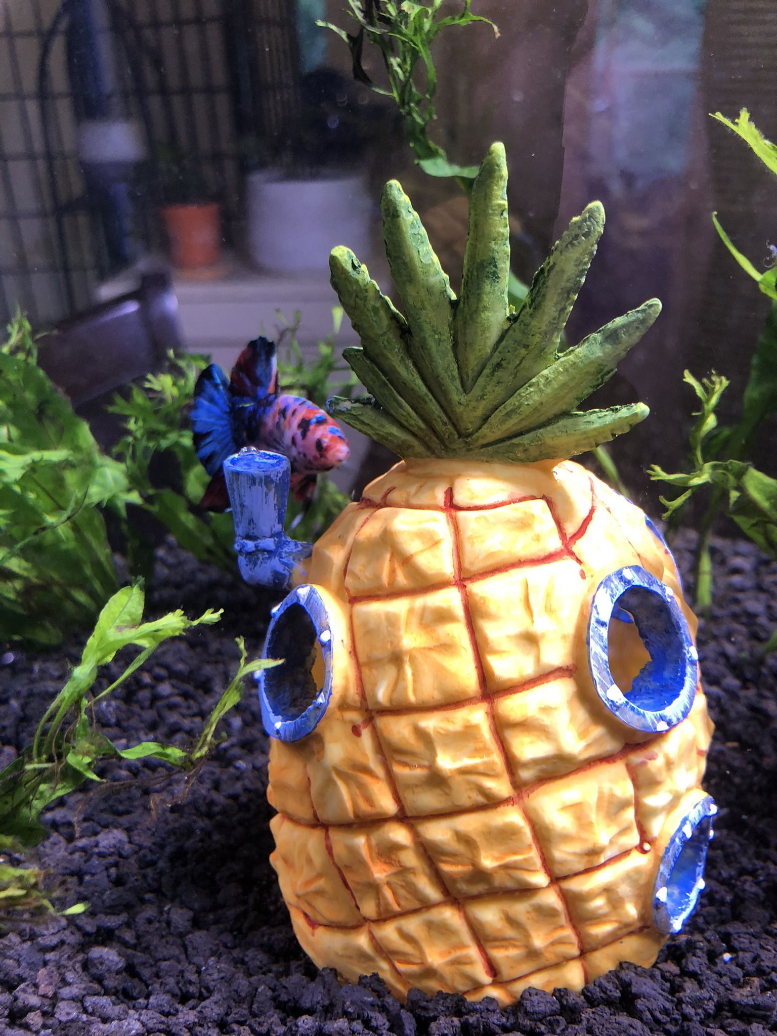 Pineapple SpongeBob House Tank Decor