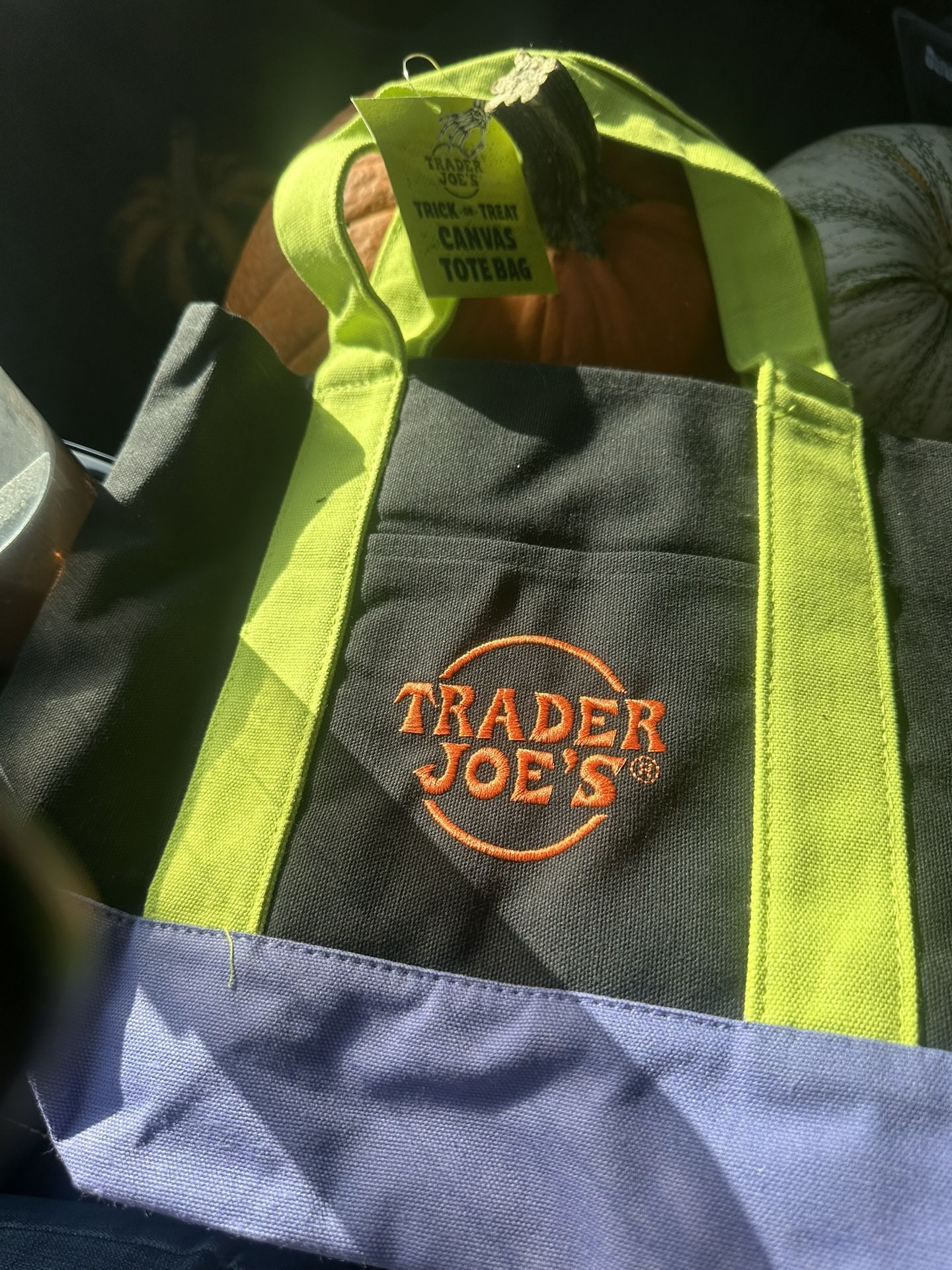 Trader Joes Halloween Lunch bag