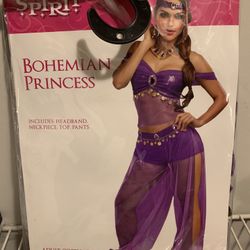 Bohemian Princess Costume 