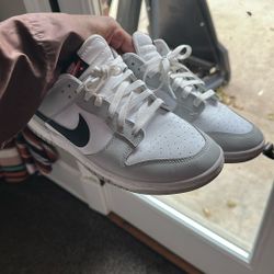 Lottery Dunks Size 11