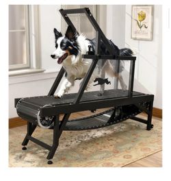 Dog Treadmill