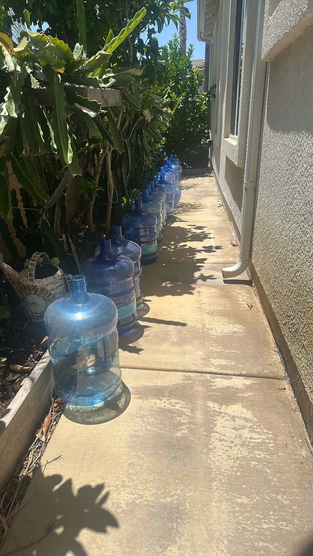 5 gallon water with handles for sale
