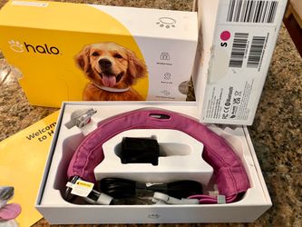 Halo dog collar
