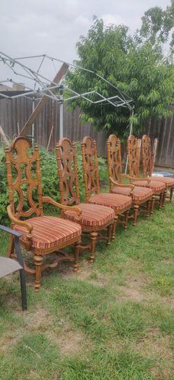 6 Dining Chairs