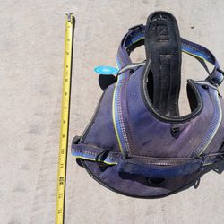 Dog Harness