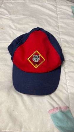 Cub scouts wolf hat