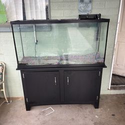 60 Gallon Tank 