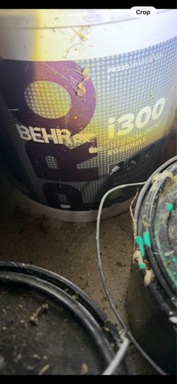 Behr pro 5 gallon