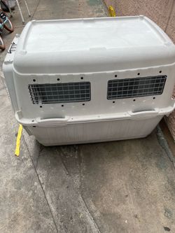 Large Hard-Shell Pet Travel Crate