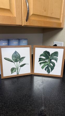 Set of 2 Framed Botanical Leaf Prints