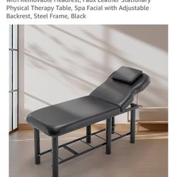 Professional Massage Table 73”