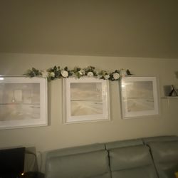 3 Framed Glass Pictures