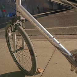 Trek 200 Alpha Custom All Aluminum 