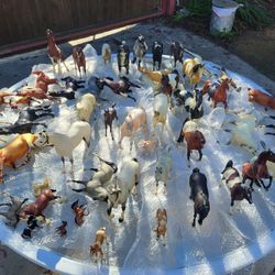 Briar Horse Lot - Must buy/take all