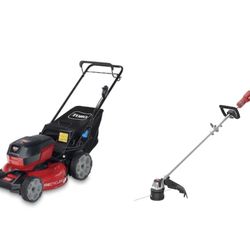 Electric Mower And Weed Eater