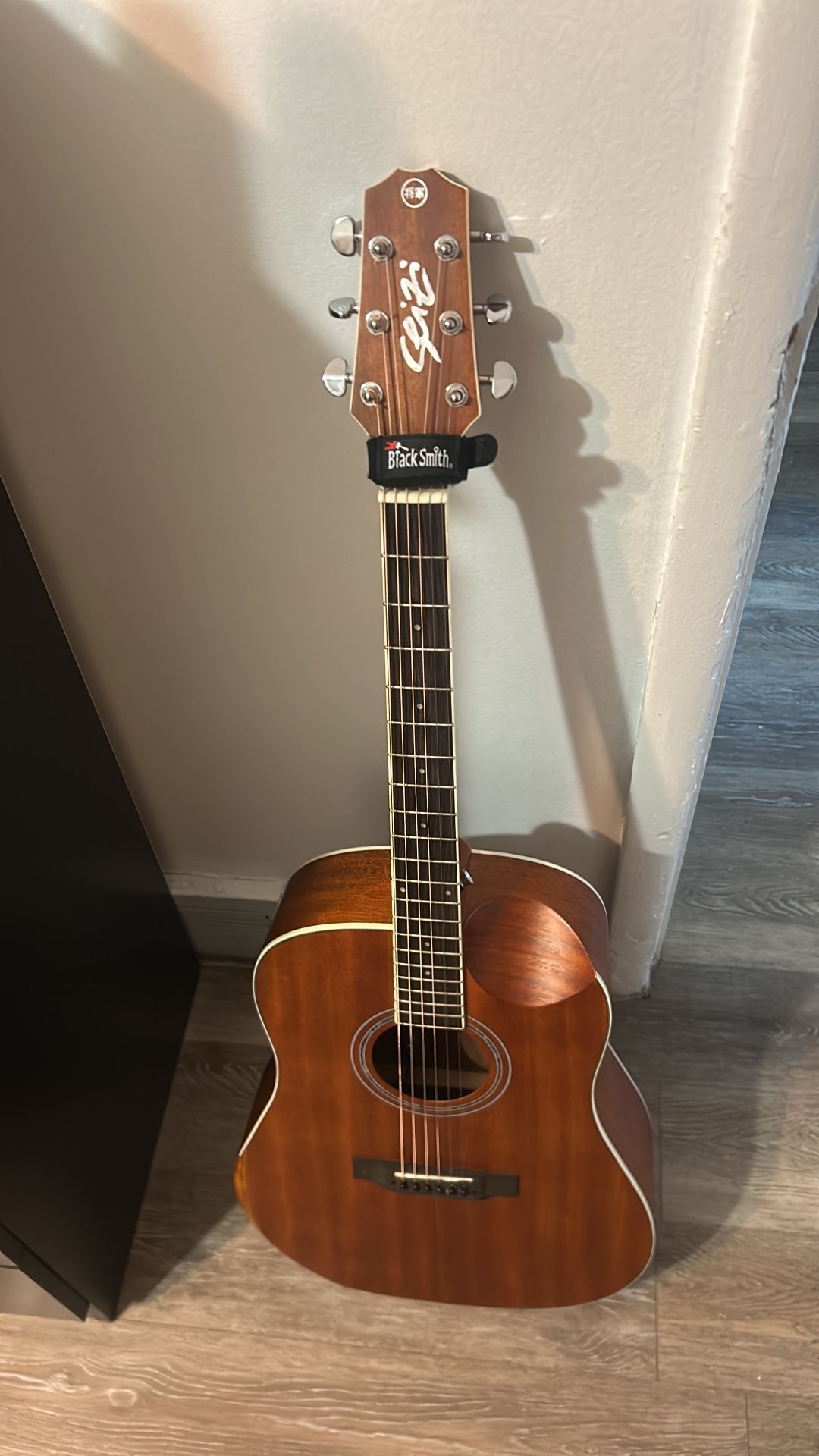 Acoustic Guitar Seizi Mirai