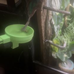 Dancing bugs, vibrating bowl, and magnetic holder